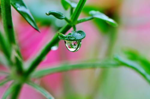 雨余天气，最是清丽 27日晚湖南又将迎来一次强降雨过程