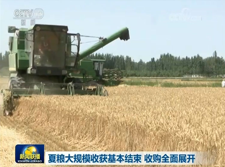 夏粮大规模收获基本结束 收购全面展开