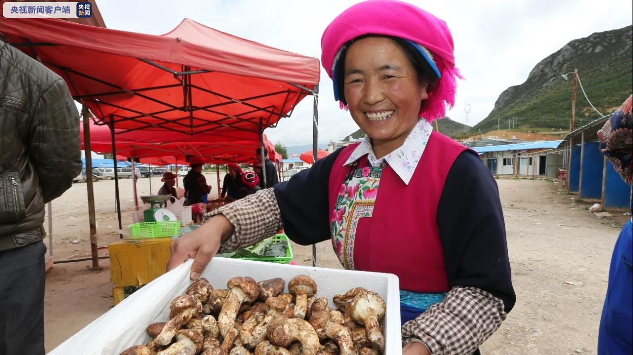 决战决胜脱贫攻坚 云南迪庆藏区告别绝对贫困！