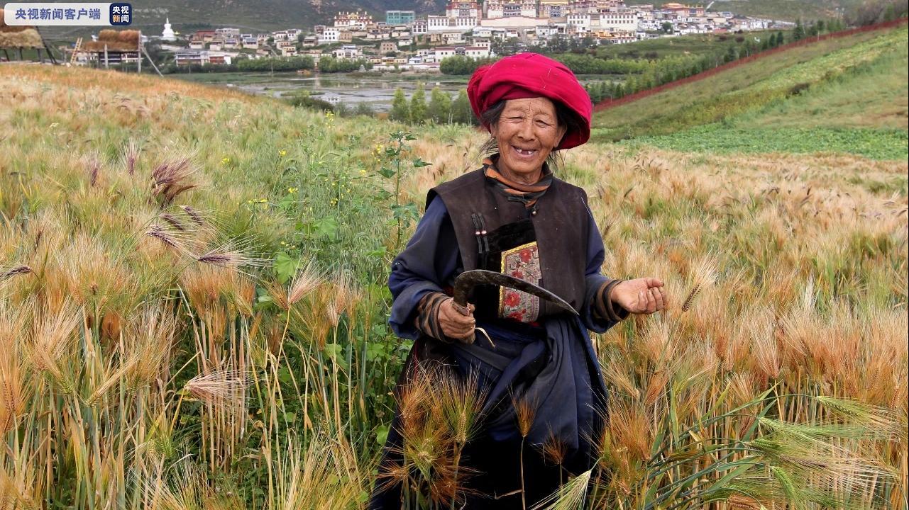 决战决胜脱贫攻坚 云南迪庆藏区告别绝对贫困！