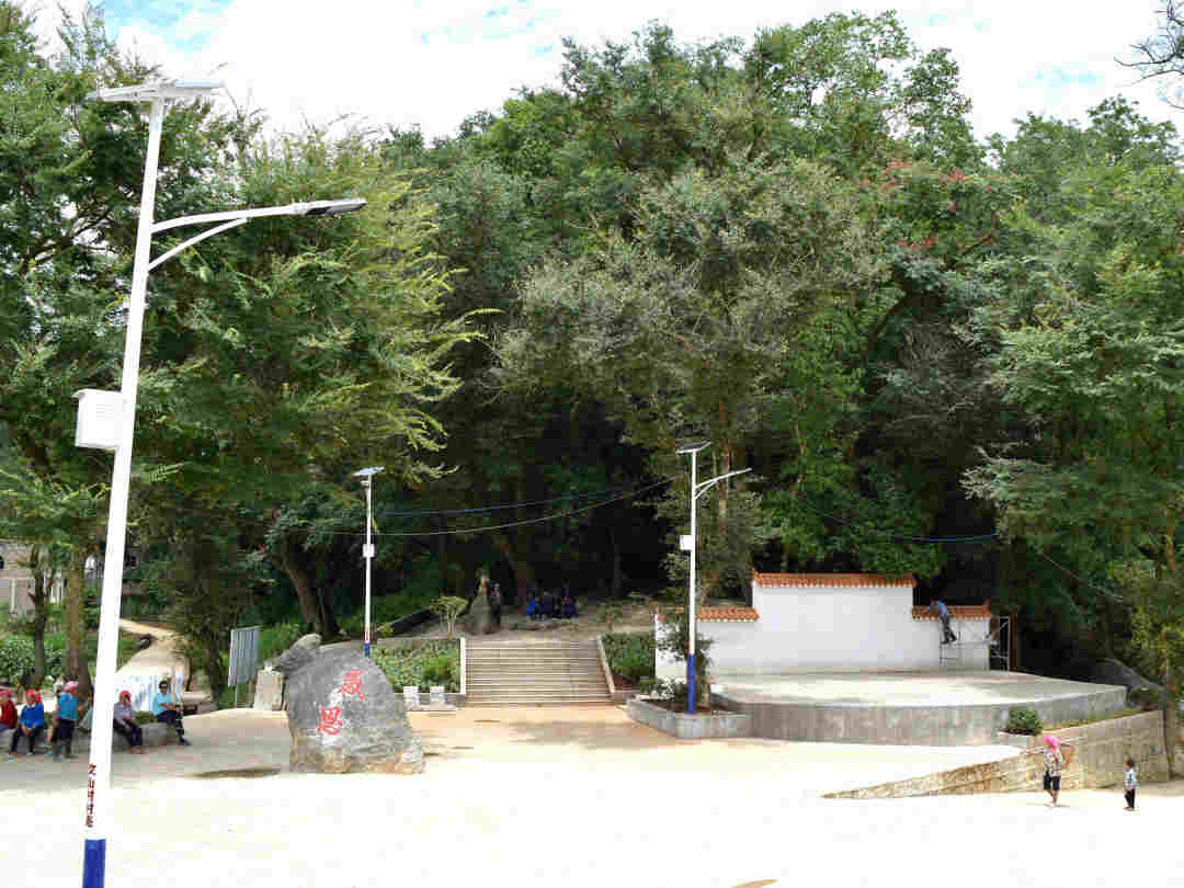 扬言“敢吃牛粪”，云南砚山这个村支书的底气从何而来？