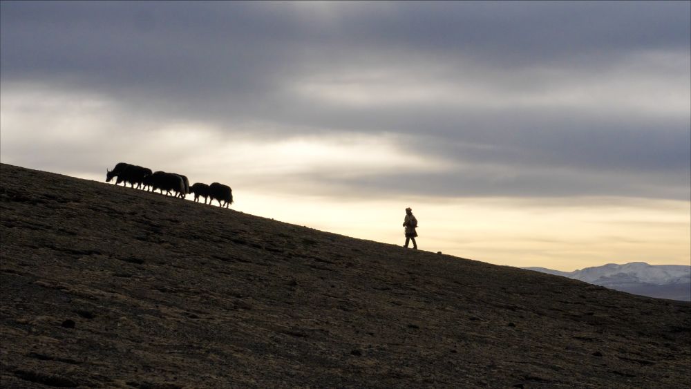 幸福来敲门丨普次仁的“新牧场”