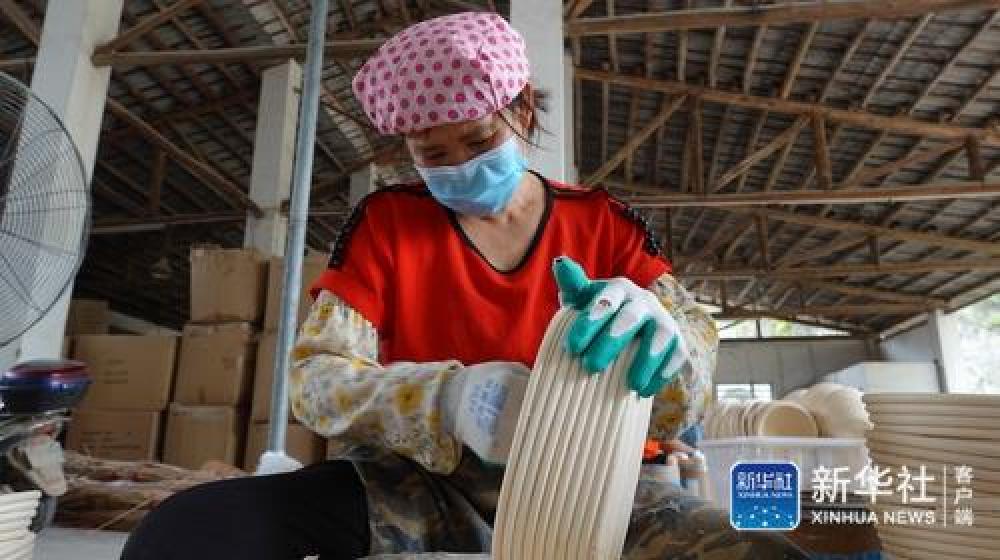 做强小车间破解大难题——广西博白县千方百计保就业