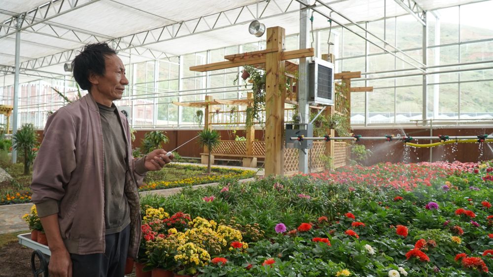 云端铺就幸福路——四川甘孜州脱贫奔小康一线见闻