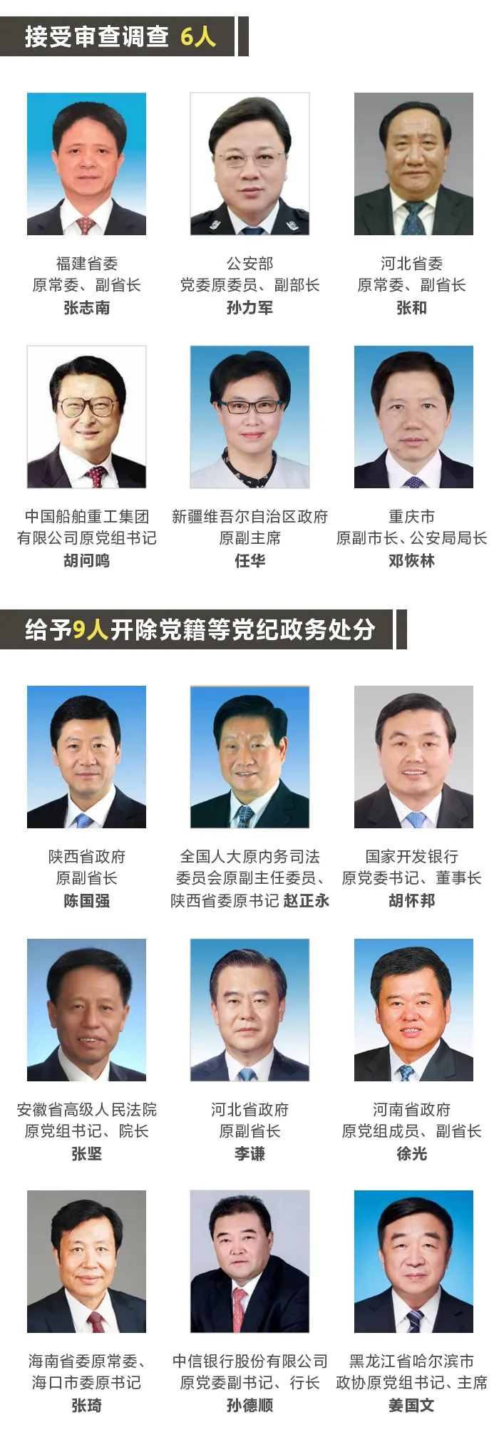 2020上半年中央“打虎战报”