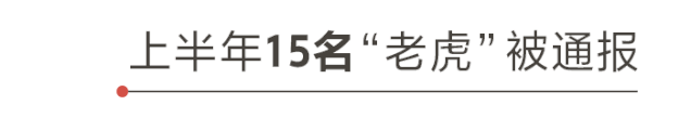 2020上半年中央“打虎战报”