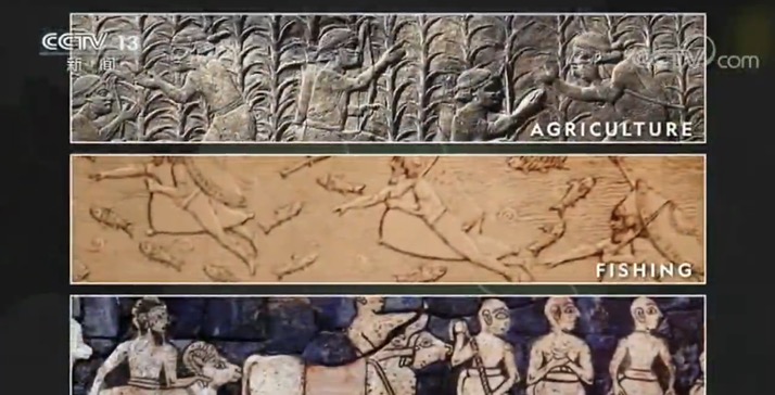 世界周刊丨新冠缘起自动物的病毒偷袭？警惕“人畜共患病”！