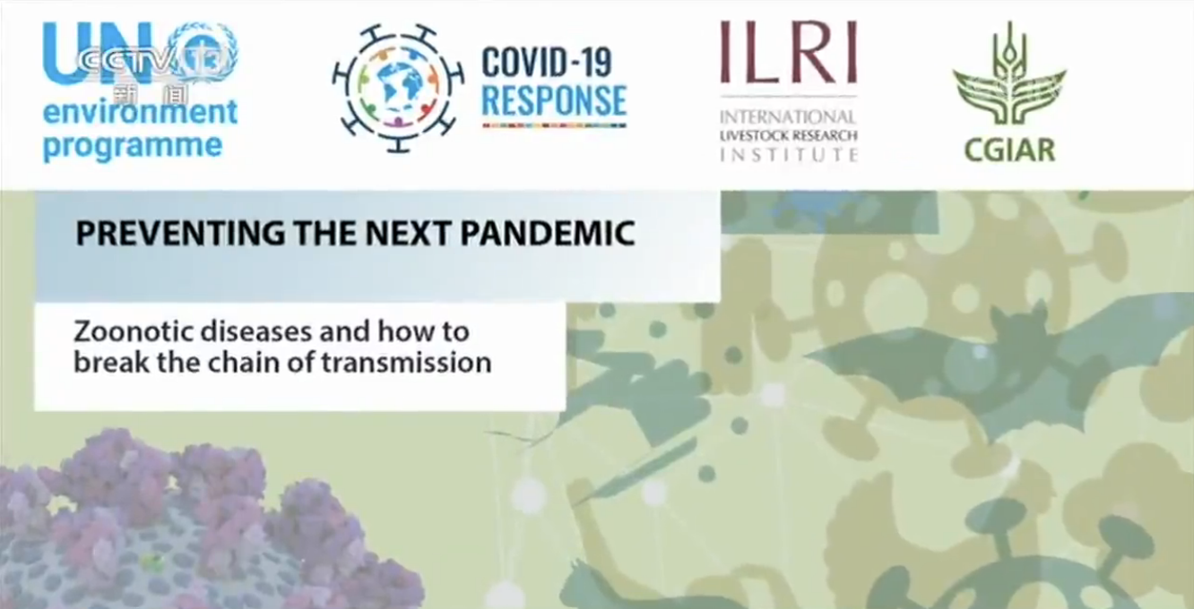 世界周刊丨新冠缘起自动物的病毒偷袭？警惕“人畜共患病”！