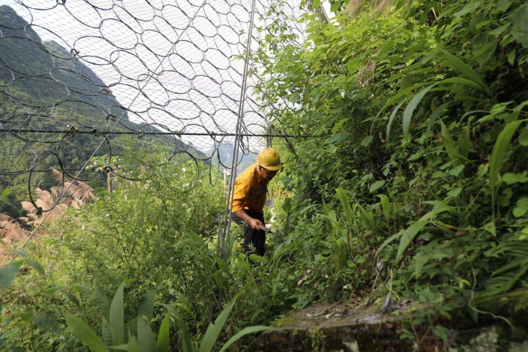 大雨来袭!两位老兵徒步走进深山里