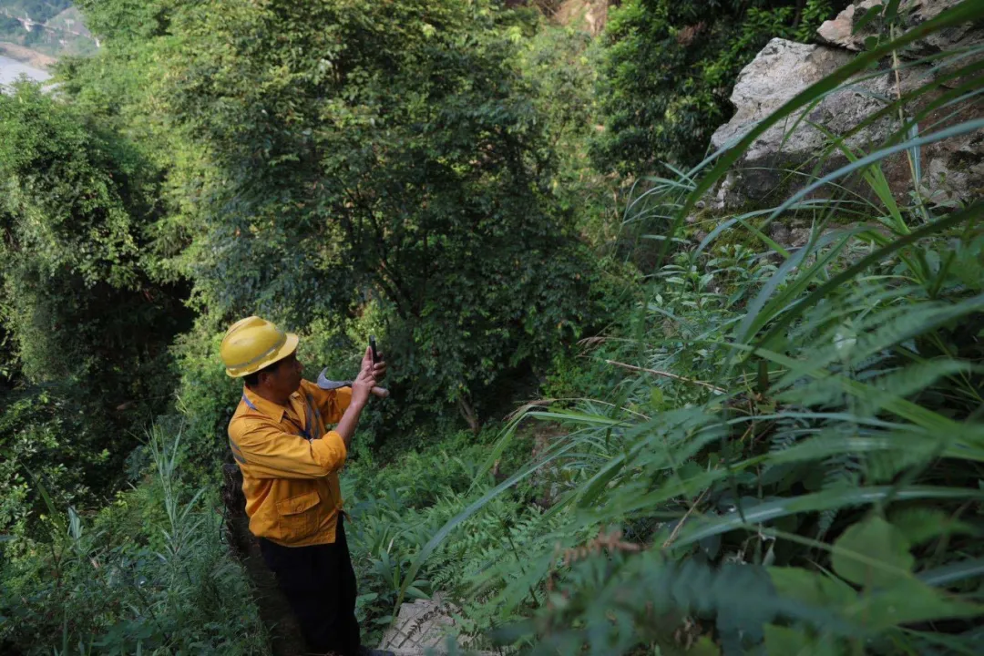 大雨来袭!两位老兵徒步走进深山里