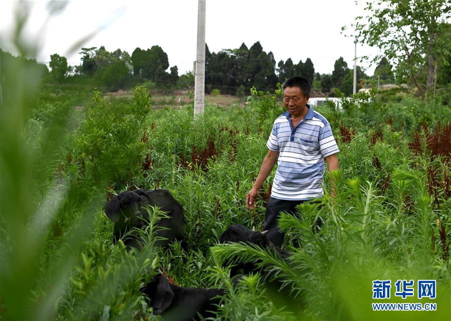 走向我们的小康生活｜摆摆幸福乡村的新鲜事儿