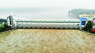 为了第16次开闸——安徽淮河王家坝蒙洼蓄洪区纪实