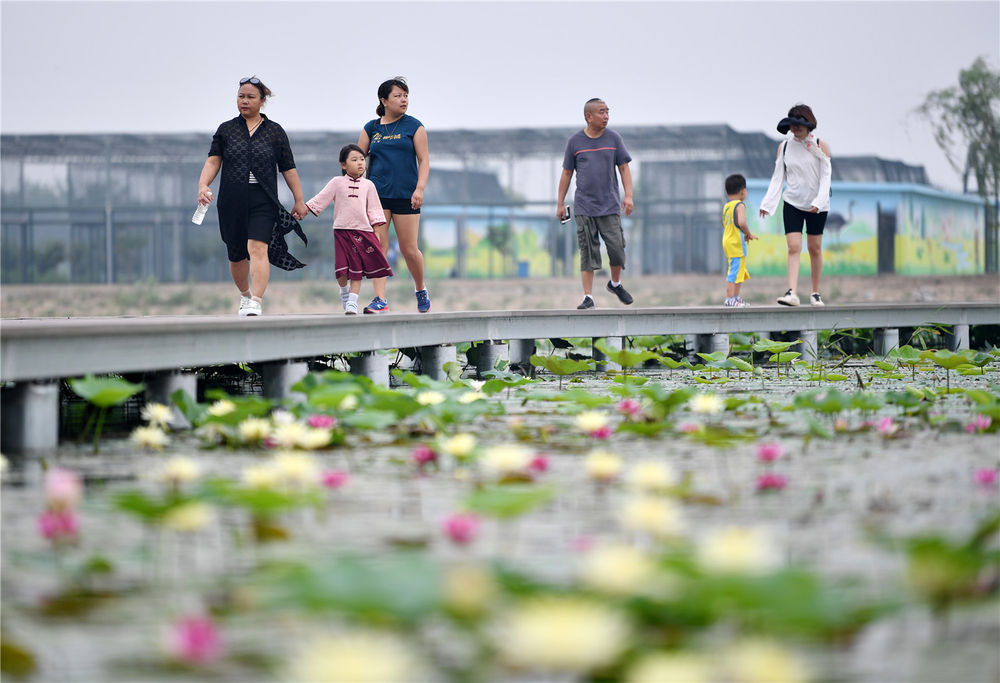 天津赵庄子村：甩掉穷帽子 吃上“生态饭”