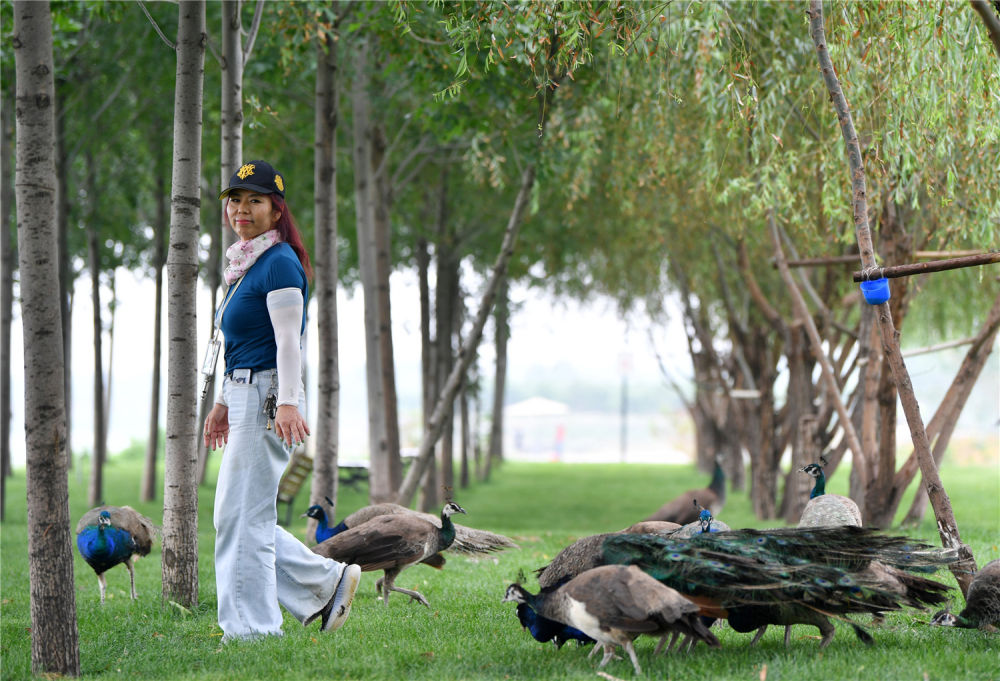 天津赵庄子村：甩掉穷帽子 吃上“生态饭”