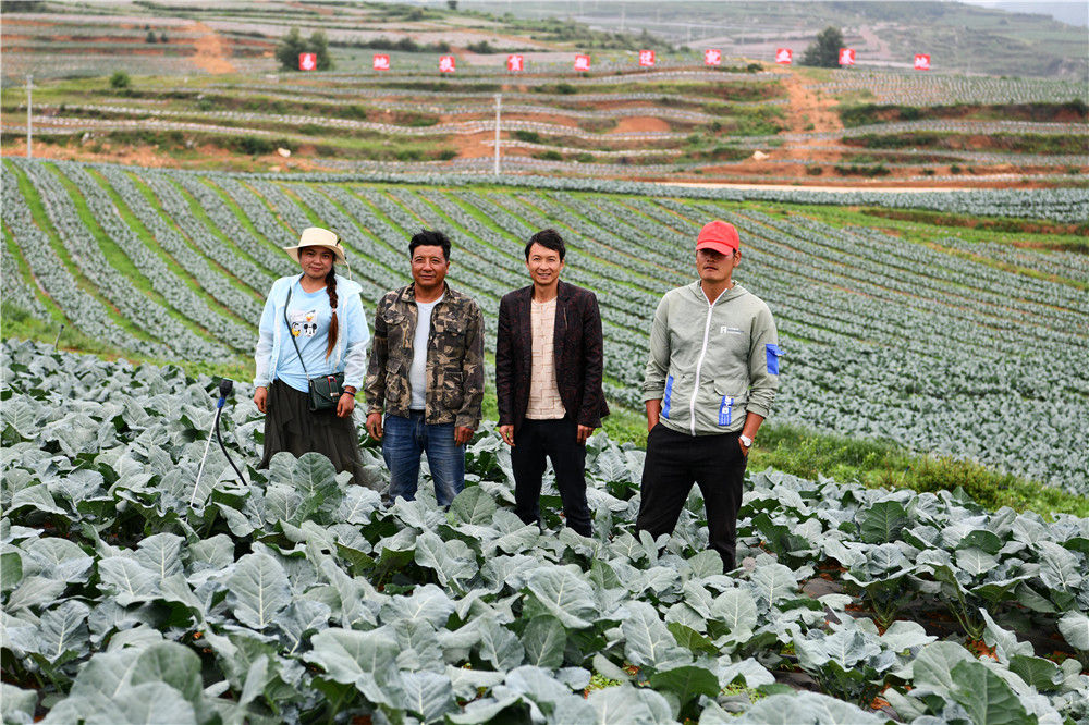 三幅“图鉴”说变迁——贵州“穿越时空”的脱贫印记