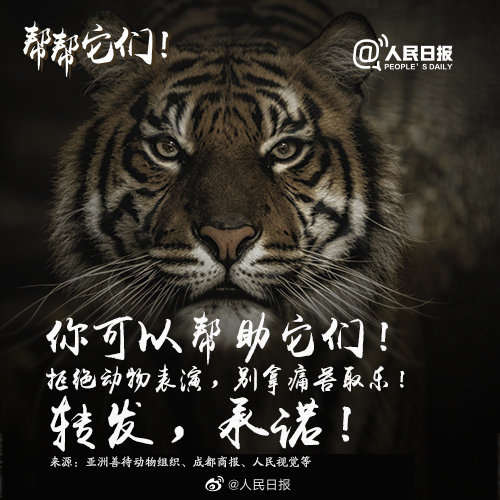 别拿它们的痛苦取乐！