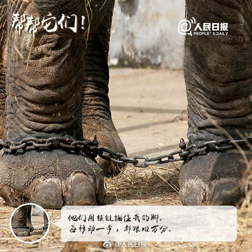 别拿它们的痛苦取乐！