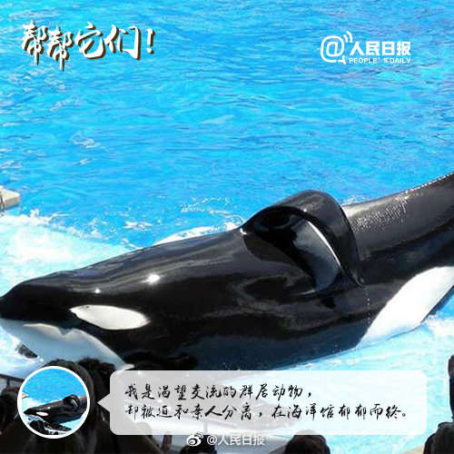 别拿它们的痛苦取乐！