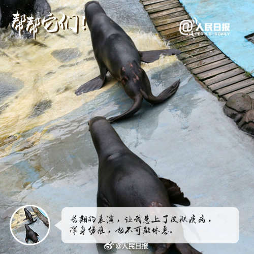 别拿它们的痛苦取乐！