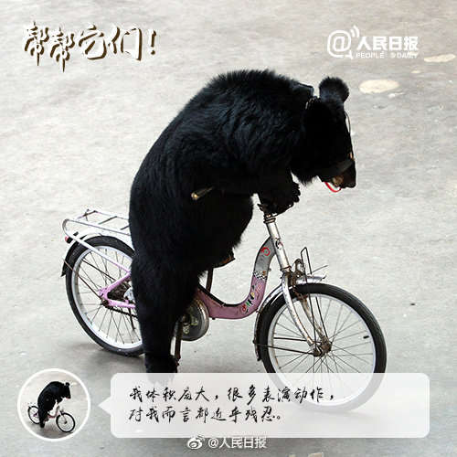 别拿它们的痛苦取乐！