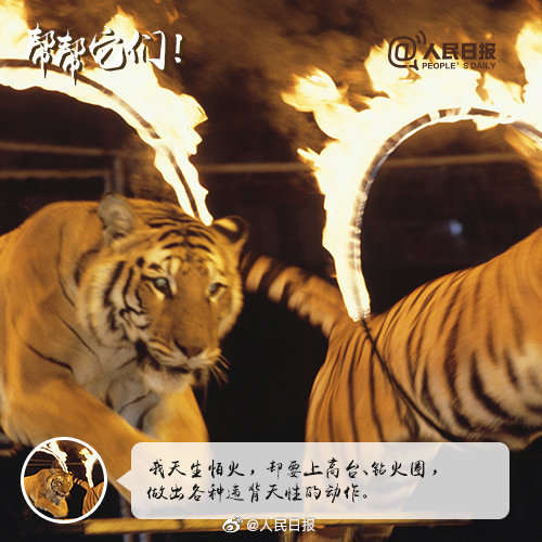 别拿它们的痛苦取乐！