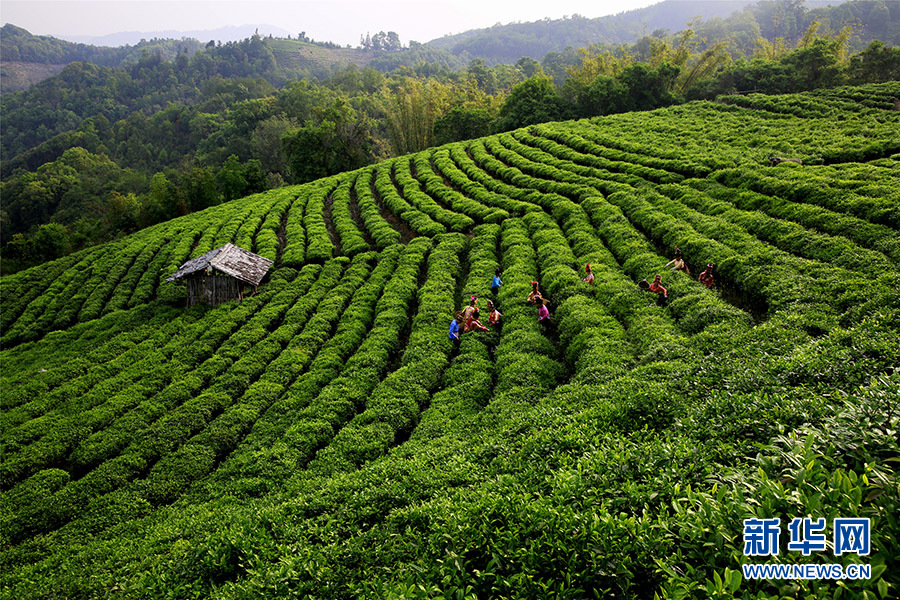 高清大图看云南保山脱贫攻坚硕果丰