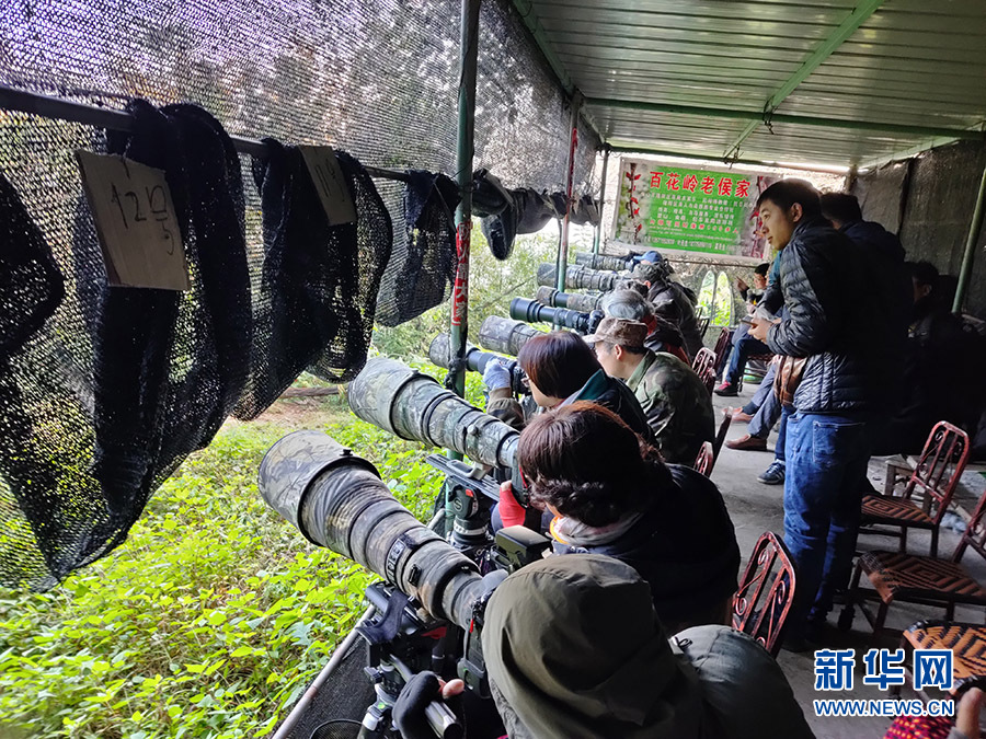 高清大图看云南保山脱贫攻坚硕果丰