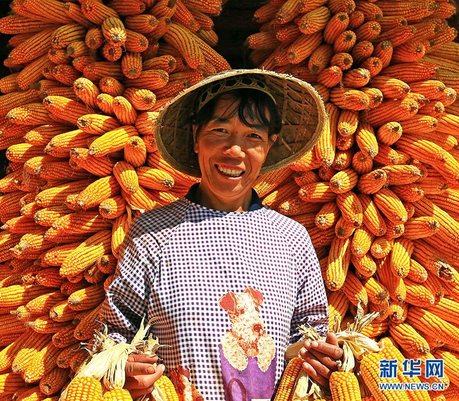 高清大图看云南保山脱贫攻坚硕果丰