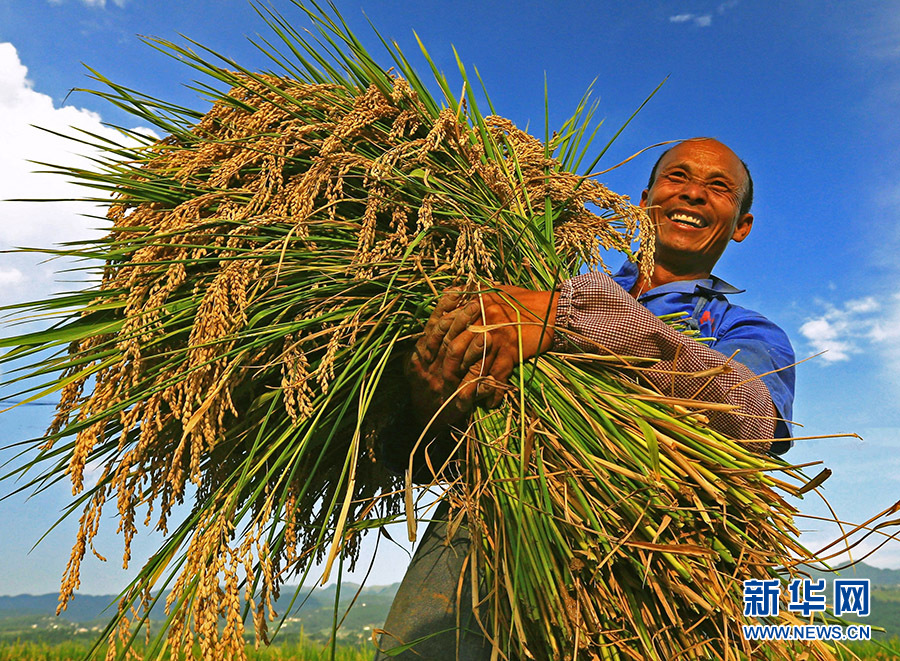 高清大图看云南保山脱贫攻坚硕果丰