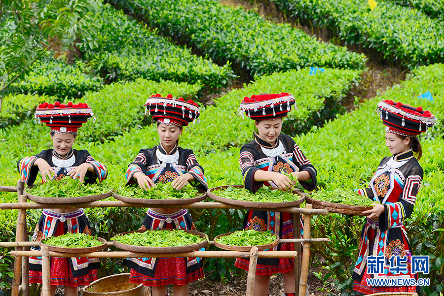 高清大图看云南保山脱贫攻坚硕果丰