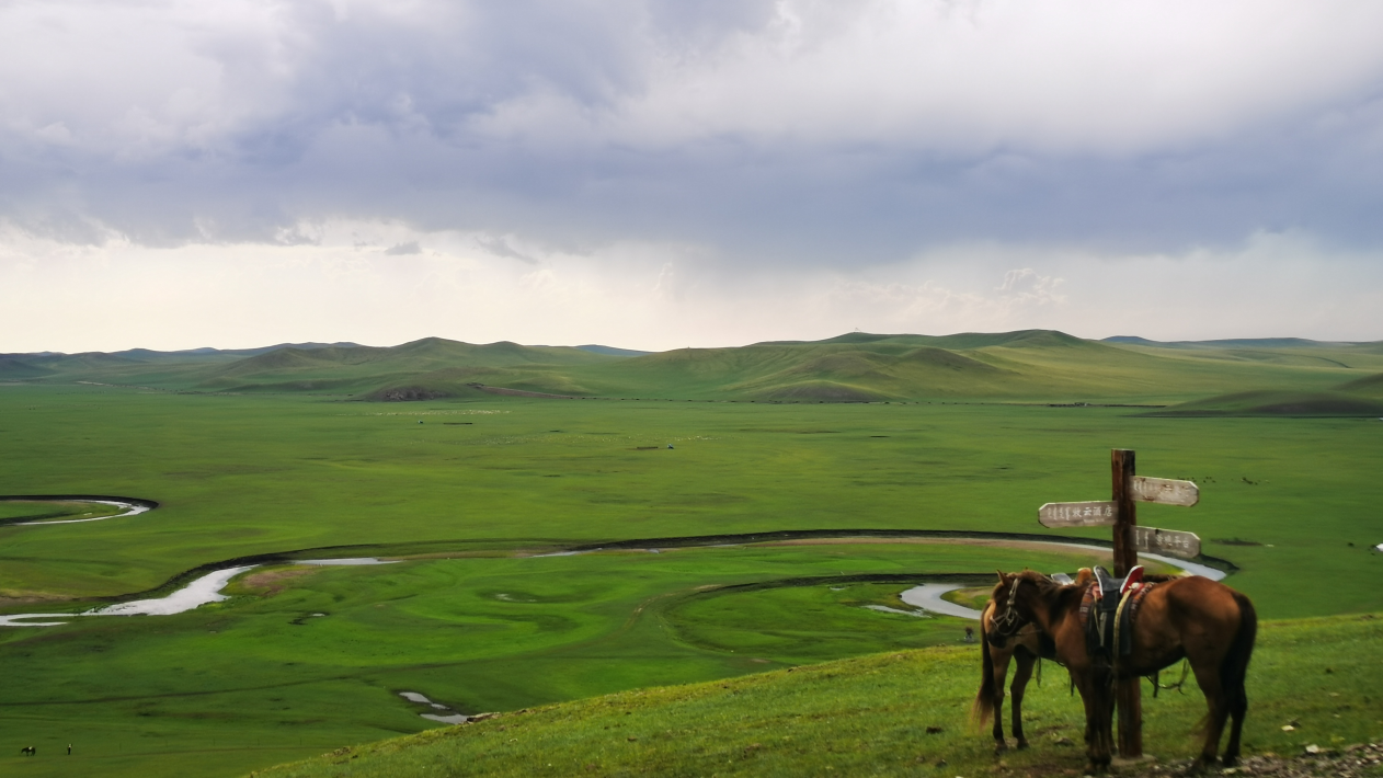 【幸福花开新边疆】离离原上泥作路 风吹草低心安处