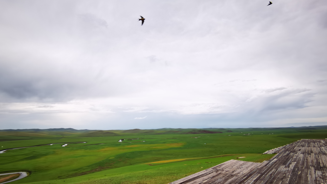 【幸福花开新边疆】离离原上泥作路 风吹草低心安处