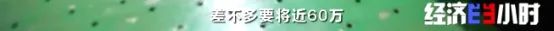 全球约6成鞋产自这个小镇！有品牌竟一双卖3.5元？