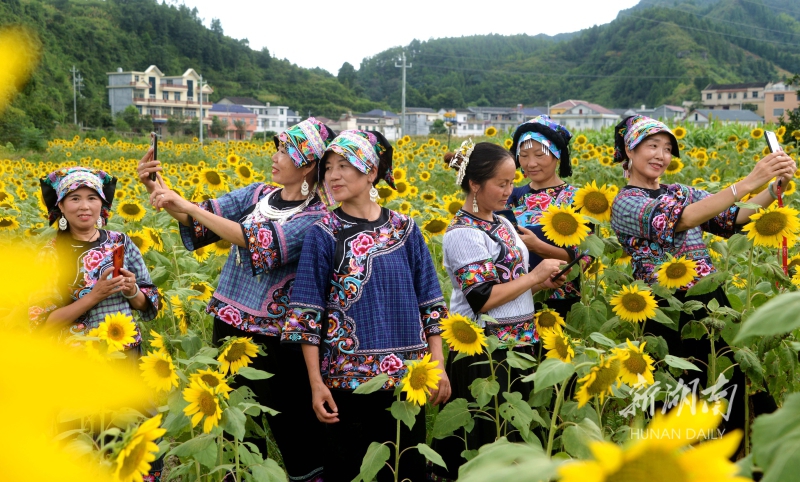 花海自拍 资讯 新湖南