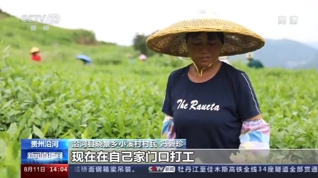 贵州沿河小溪村：抱团发展资源互补 破解增收困境