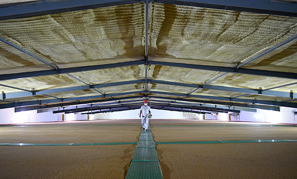 国家统计局：粮食库存比较充足，猪肉价格高位运行还将持续