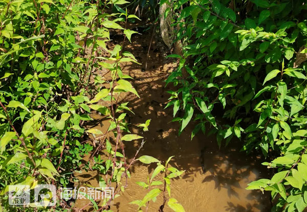 四千警民拉网搜捕乐安杀人嫌犯，当地人称山林间野果山泉充足