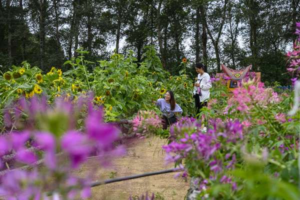 幸福花开新边疆|义勒力特：通过全域旅游赢得脱贫攻坚的胜利