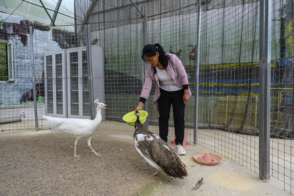 幸福花开新边疆|义勒力特：通过全域旅游赢得脱贫攻坚的胜利