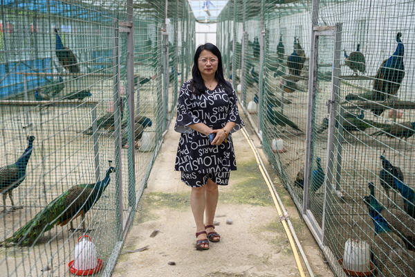 幸福花开新边疆|义勒力特：通过全域旅游赢得脱贫攻坚的胜利