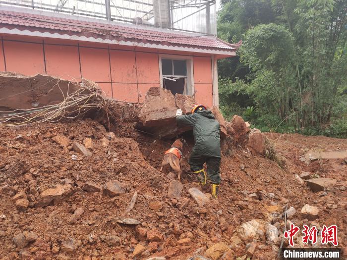 云南镇康山体滑坡现场搜救到2名失联者 已遇难