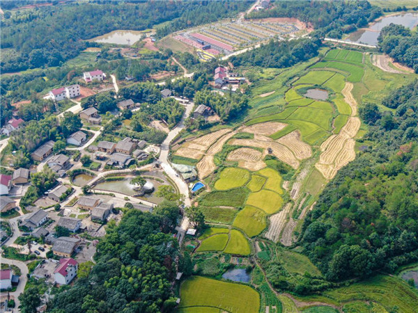 【小康见证者】高铁串起“最美风光带” 乡村旅游助力村民脱贫奔小康