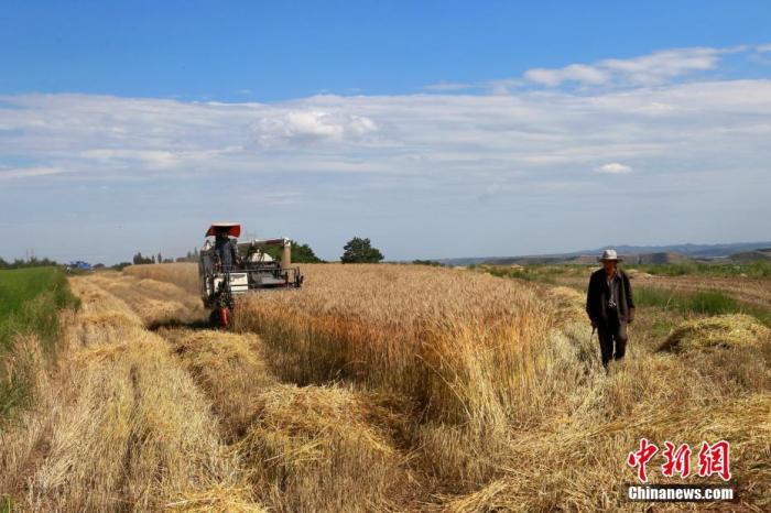 中国粮食今年够吃吗？农业农村部：粮食安全完全有保障