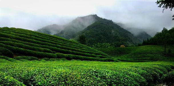 湖南发布5条瓷茶旅自驾游线路