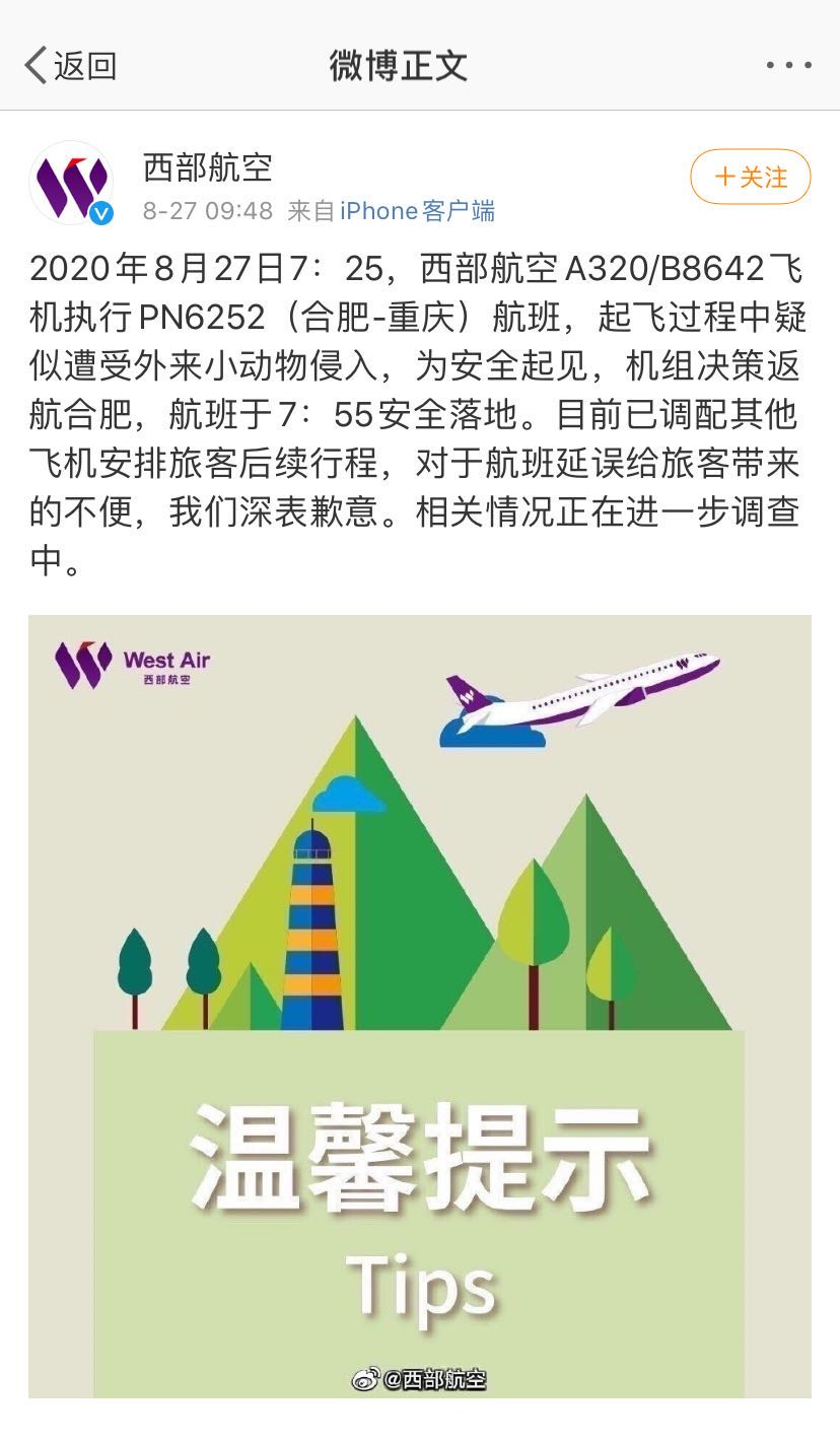 西部航空一航班疑似遭受小动物侵入，已返航合肥