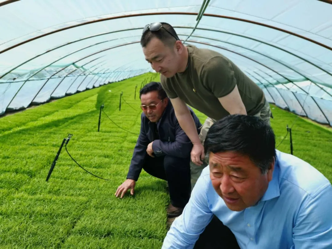 365天中，他驻村蹲点达300天