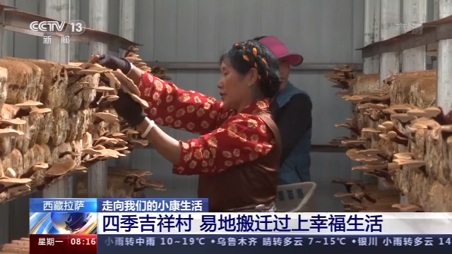 走向我们的小康生活丨拉萨四季吉祥村里的幸福生活