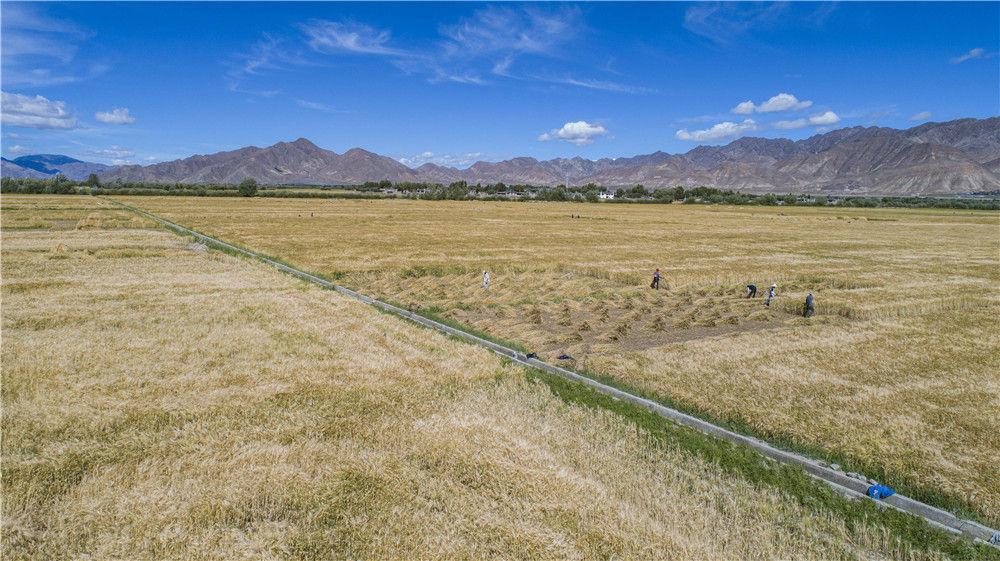 扎西德勒，我们的新家园——西藏易地扶贫搬迁搬出幸福美好新生活