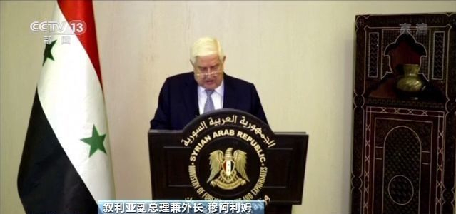 面对美国新制裁 叙外长在联大作出这个比喻