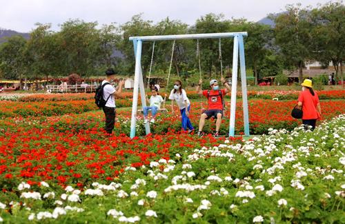 假期第5日，湖南乡村旅游区接待游客11.47万人次，恢复至去年同期的81%
